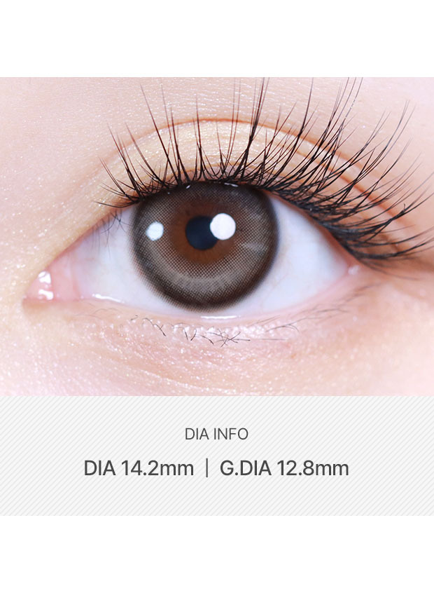 LensVery Butterflos Gray(1 month / 2p)