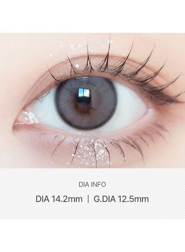 ANN365LENS DayRing 1Day Gray(1 day / 10p)