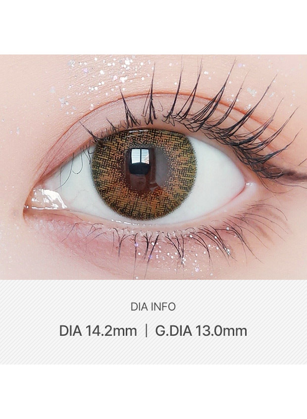 ANN365LENS Rich Ann Shine Brown(1 day /6p)