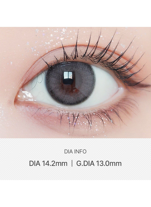 ANN365LENS Rich Ann Indie Gray(1 day /6p)