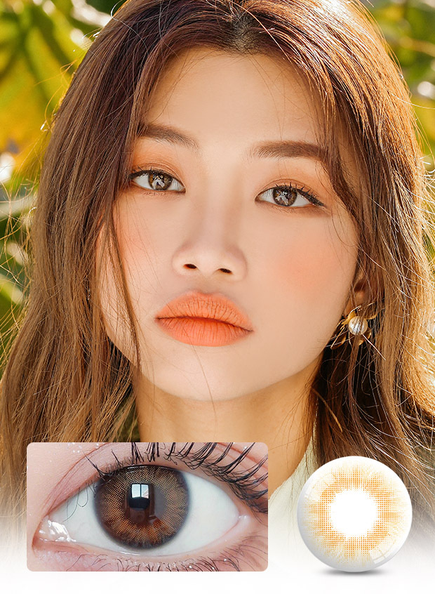 ANN365LENS Rich Ann Natural Brown(1 day /6p)