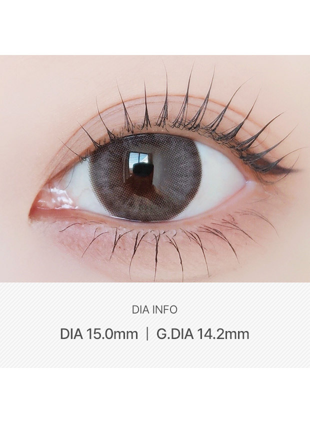 ANN365LENS Just Mega Ash Brown(1 month /2p)