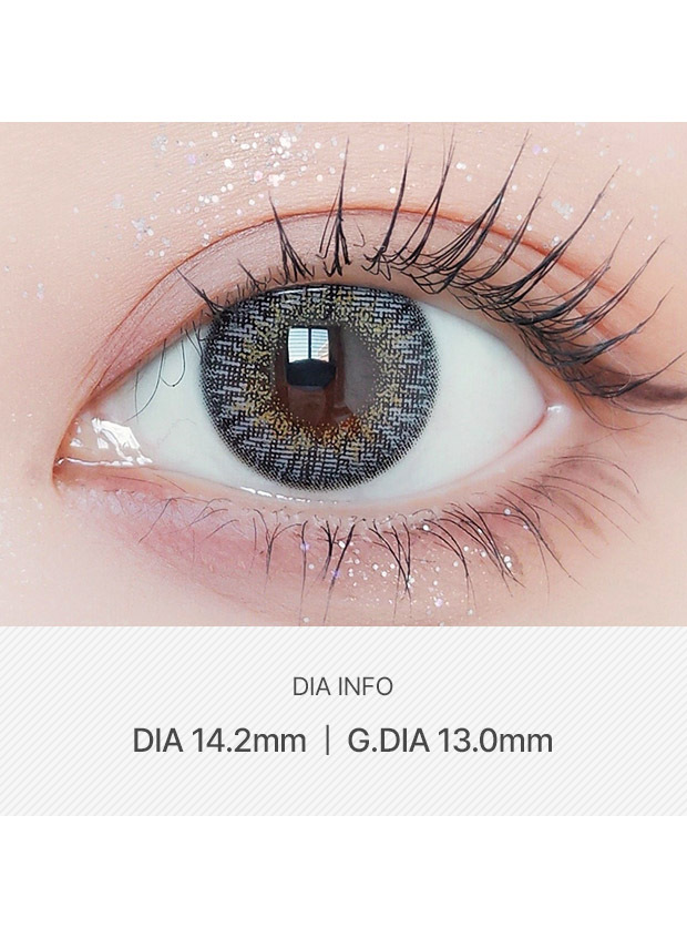 ANN365LENS Rich Ann Shine Gray(1 day /6p)
