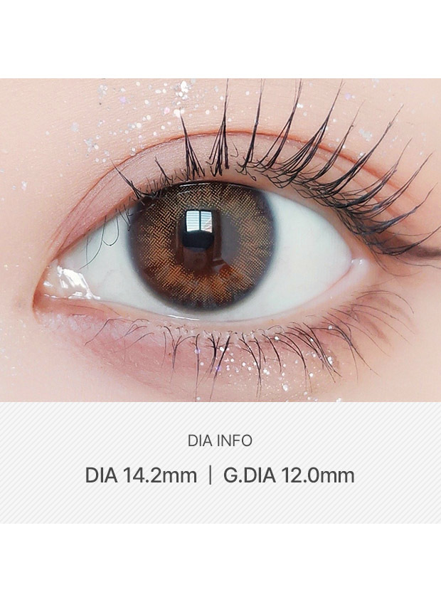 ANN365LENS Rich Ann Natural Brown(1 day /6p)