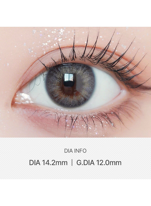 ANN365LENS Rich Ann Natural Gray(1 day /6p)