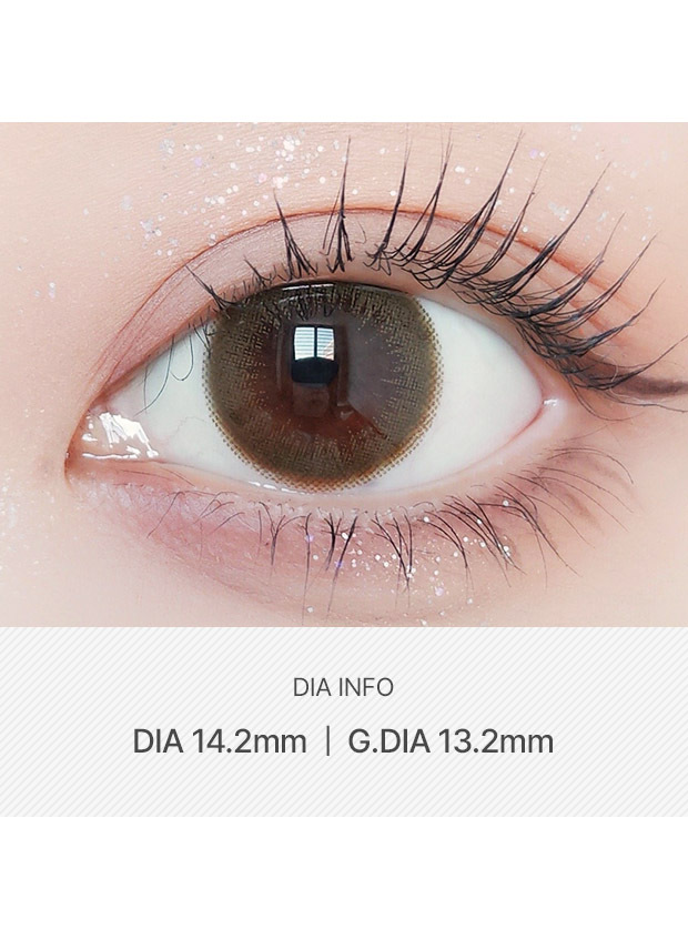 ANN365LENS Rich Ann Latte(Brown)(1 day /6p)