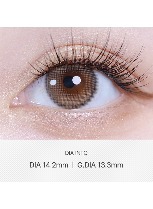 ANN365LENS Ruddy Ash Beige(1 month /2p)