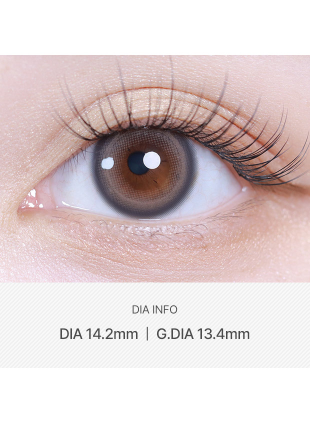 ANN365LENS Powdery Brown(1 month /2p)
