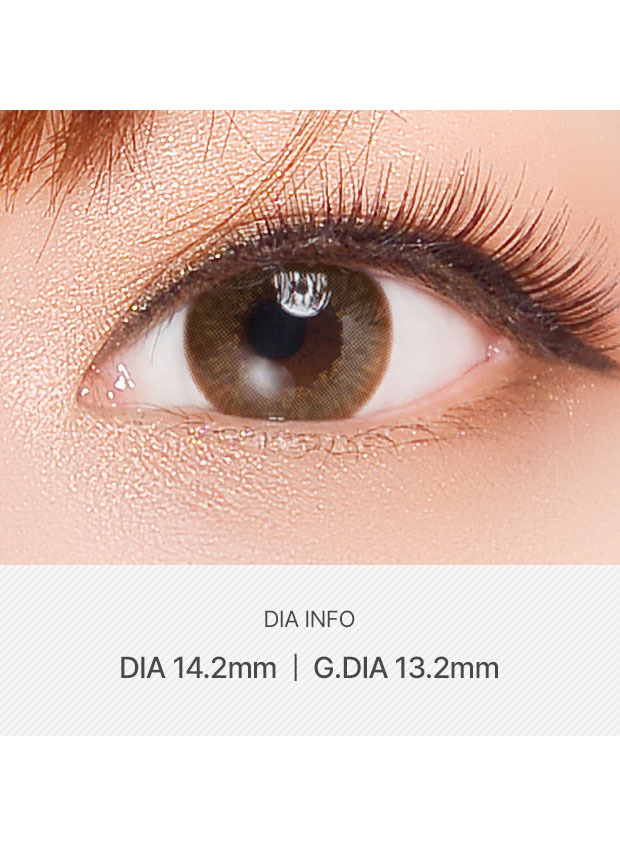 LensVery Silk Brown(6 month / 2p)
