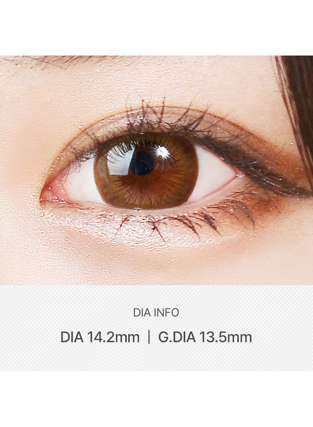 LensVery Dandy Brown(6 month / 2p)