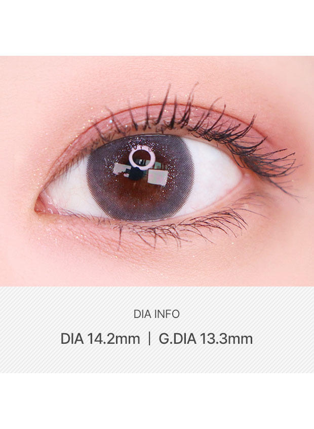 LensVery Classi Glorious Gray(1 month / 2p)