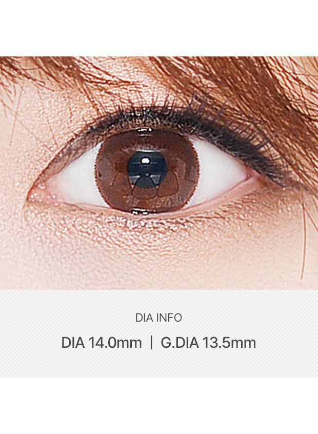 LensVery Chocolate Brown(6 month / 2p)