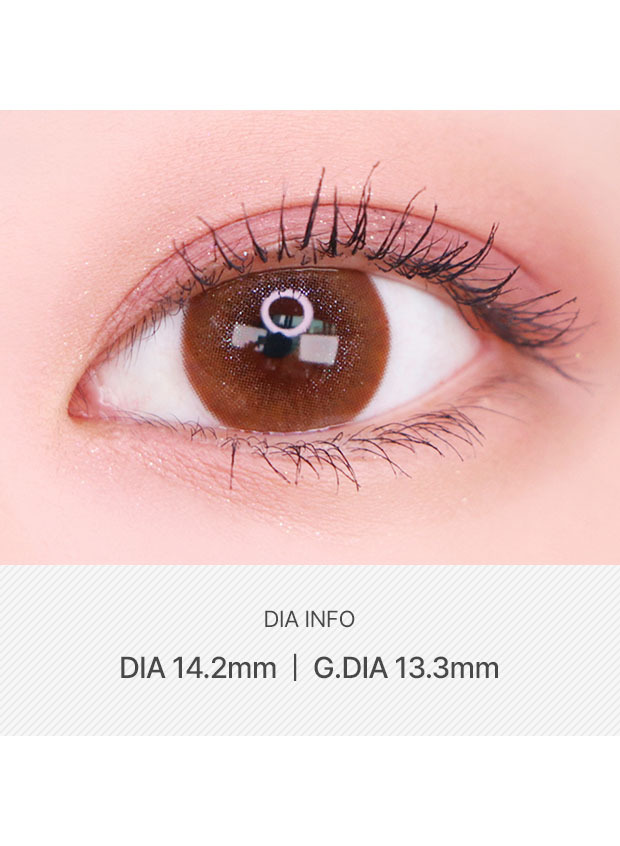 LensVery Classi Glorious Brown(1 month / 2p)