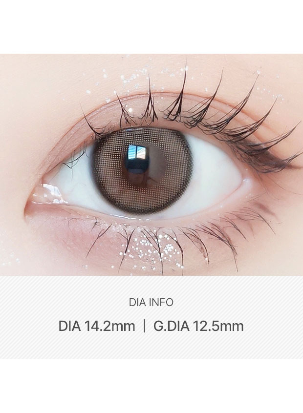 ANN365LENS Day Ring Brown(1 month /2p)