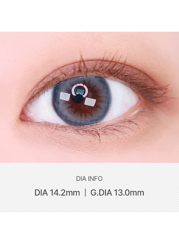 LensVery Classi Mood Gray(1 month / 2p)