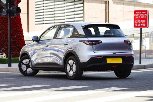 星愿 2025款 310km 青春版