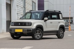 悦也Plus 2026款 301km旗舰版