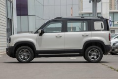 悦也Plus 2026款 301km旗舰版