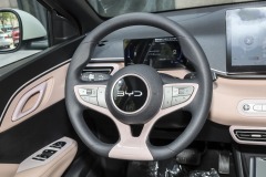 BYD Seagull 2025 facelift Smart Driving Edition 305KM Vitality Edition