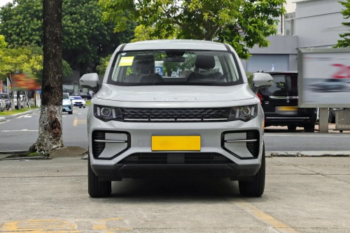 雷达金刚 2025款 310km 两驱长箱 招财金刚