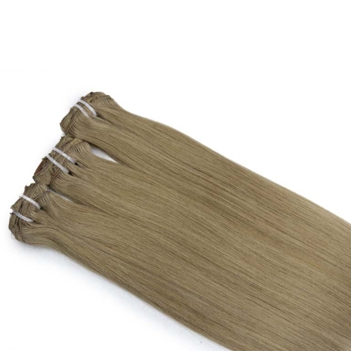 Clips in Hair-Hair extensions(100g net, 8 pcs, 17 clips)