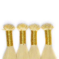 Nano-Tip-Hair extensions(1g/ea, 100 ea/pk)