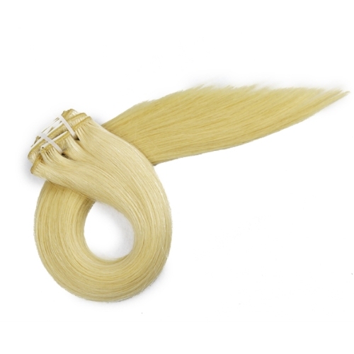 Clips in Hair-Hair extensions(100g net, 8 pcs, 17 clips)