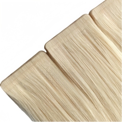 Tape Hair-Hair extensions(2.5g/pc, 40 pcs/pk, 100g)