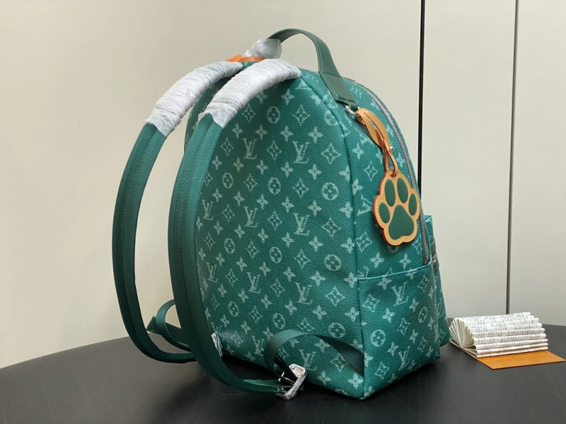 LOUIS VUITTON M12780 DISCOVERY