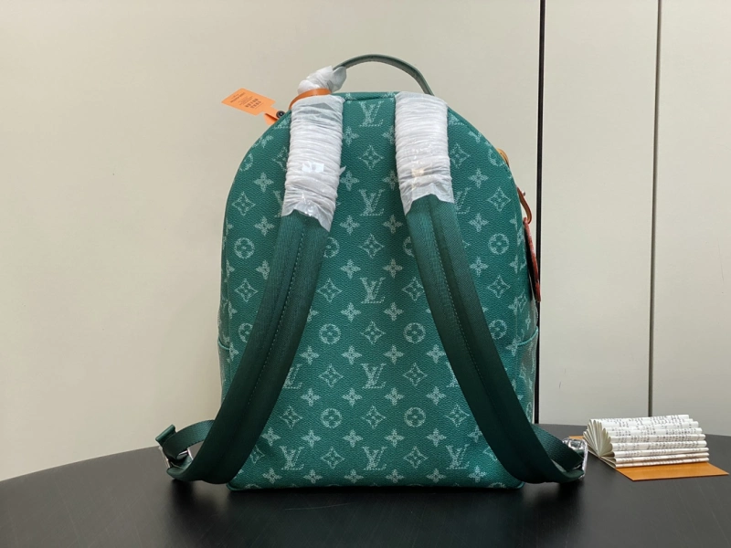 LOUIS VUITTON M12780 DISCOVERY
