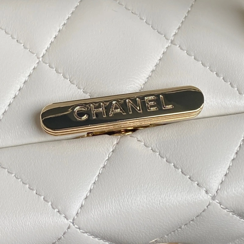 Chanel AS5167 bag