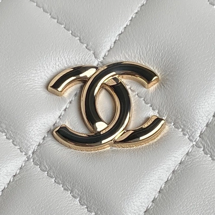 Chanel AS5167 bag