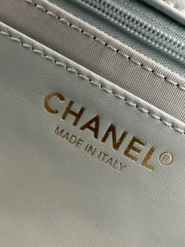 Chanel AS5176 bag