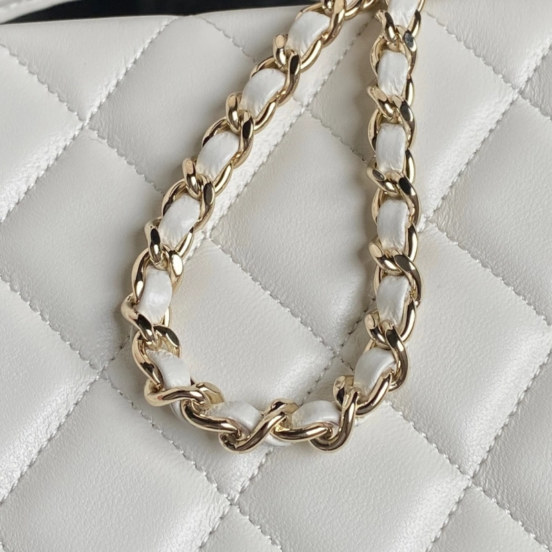 Chanel AS5167 bag