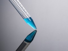 15 mL遠心チューブ-透明-バルク-滅菌済み