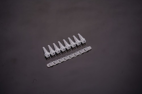 0.2 mL-PCR 8連チューブ&8連フラットキャップ- Aタープ（透明）