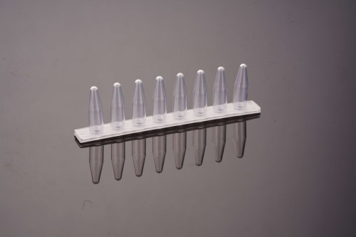 0.2 mL-PCR 8連チューブ&8連フラットキャップ- Bタープ（透明）