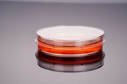 100 mm-サイドグリップリング付き