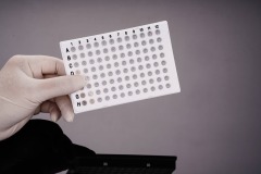 0.1 mL 透明/白枠（黒字印字）