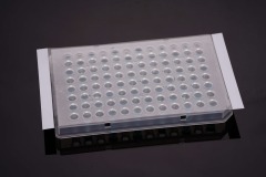 0.1 mL-Roche用PCRプレート