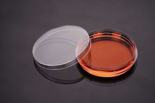 100 mm-サイドグリップリング付き