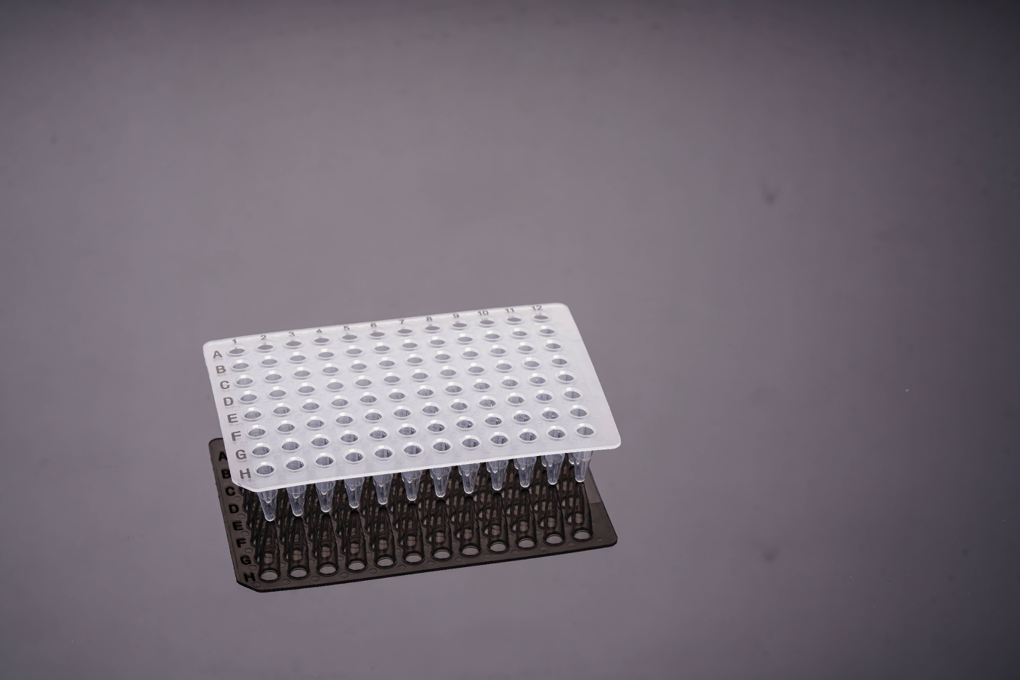 0.2 mL 透明（黒字印字）