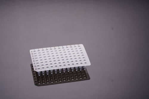 0.2 mL 透明（黒字印字）