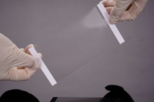 PCRプレート用シール ABI専用