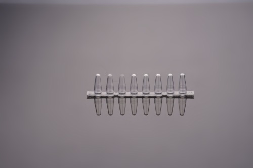 0.1 mL-PCR 8連チューブ&8連フラットキャップ- Bタープ（透明）