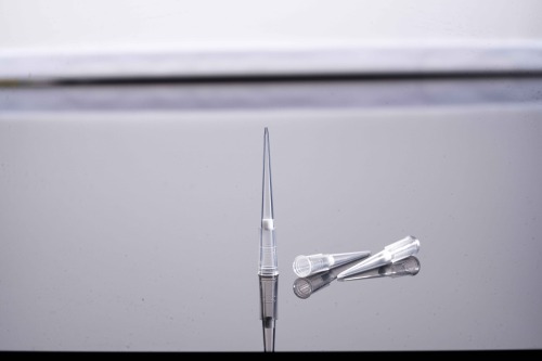 低吸着チップ-フィルター-ラック入り-滅菌済み-50 μL