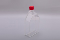 175 cm2-ベントキャップ