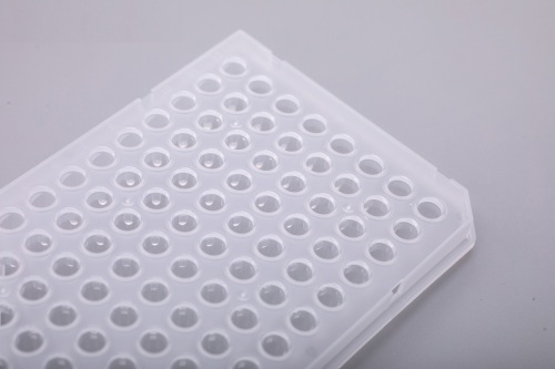0.1 mL-Roche用PCRプレート