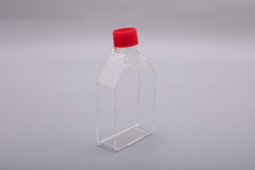 175ml