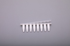 0.2ml